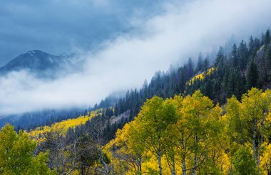 Colorado, ABD 'de renkli bir sonbahar. Sonbahar sezonu.
