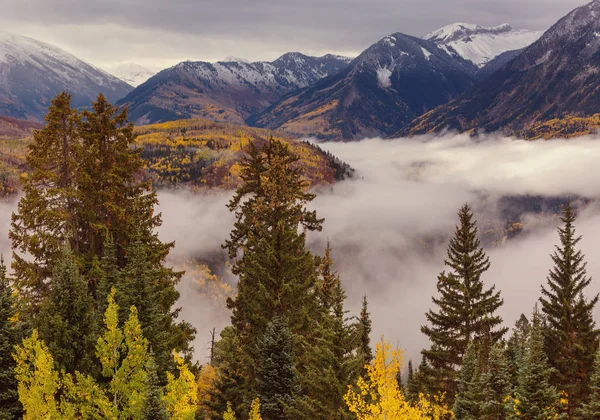 Outono Amarelo Colorido Colorado Estados Unidos Temporada Outono — Fotografia de Stock