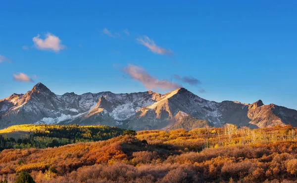 Farbenfroher Gelber Herbst Colorado Usa Herbstsaison — Stockfoto