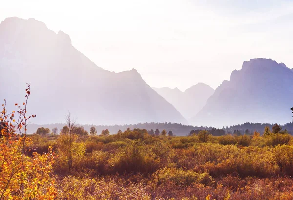 Colori Brillanti Della Stagione Autunnale Nel Grand Teton National Park — Foto Stock