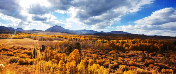 Widok Góry Sierra Nevada Jesienny Krajobraz Liści Kalifornia Usa — Zdjęcie stockowe