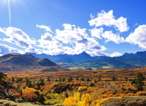 Farbenfroher Gelber Herbst Colorado Usa Herbstsaison — Stockfoto