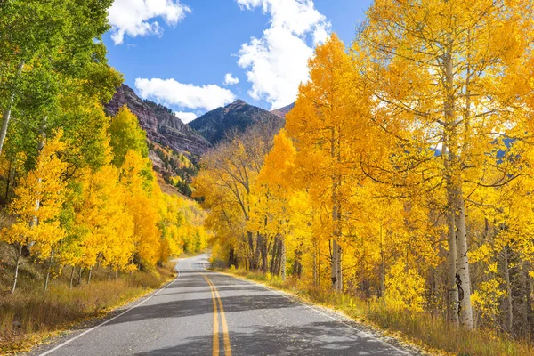 Scena Autunnale Colorata Sulla Strada Campagna Mattino Soleggiato — Foto Stock