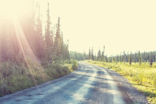 Droga Żwirowa Lesie Gór Alaskan Sezon Letni — Zdjęcie stockowe