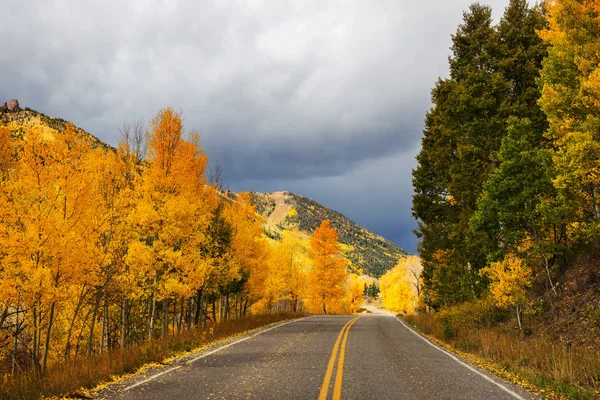 Kleurrijke Herfst Scène Zonnige Ochtend Onderweg Platteland — Stockfoto