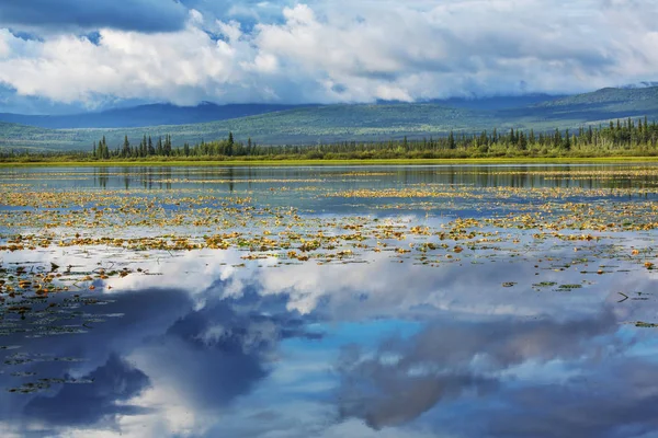 Lugn Scen Vid Fjällsjön Kanada Med Spegling Klipporna Lugnt Vatten — Stockfoto