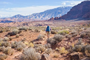Utah dağlarında yürüyüş. Alışılmadık doğal manzaralarda yürüyüş. Fantastik kumtaşı oluşumları.