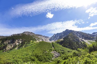 Yaz mevsiminde Kanada Kayalıkları 'nda resim gibi dağ manzarası