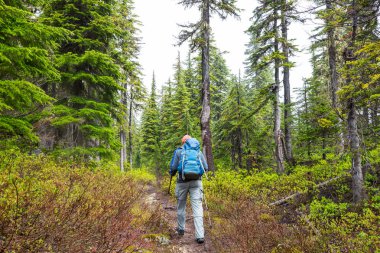 Hiking adam yolun ormanın içinde bay.