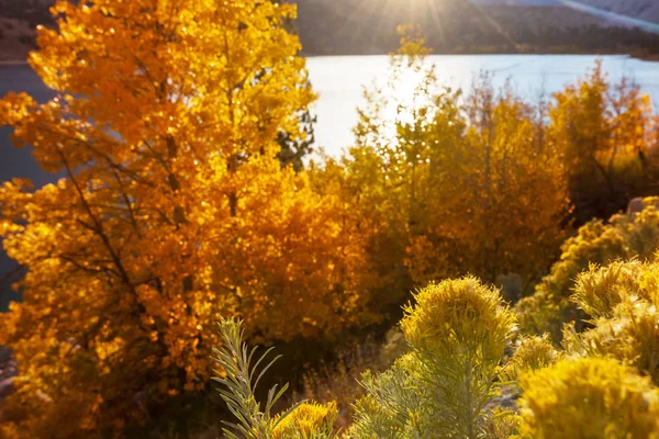 シエラネバダ山脈の景色 紅葉の風景 カリフォルニア アメリカ — ストック写真