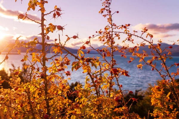 Beau Lac Saison Automne — Photo