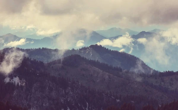 Bella Scena Mattutina Montagna Nebbia All Alba — Foto Stock