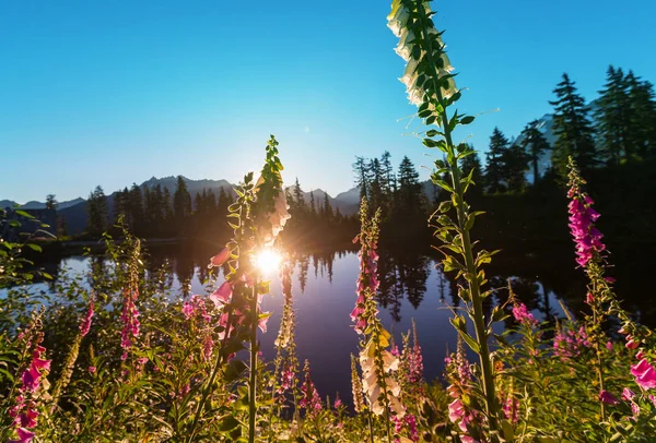 Sereniteit Meer Bergen Het Zomerseizoen — Stockfoto