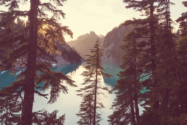 Serenity Lake Mountains Summer Season Beautiful Natural Landscapes — Stock Photo, Image