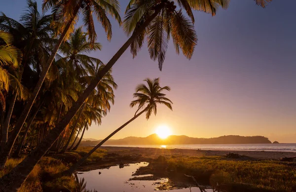 Sérénité Sur Plage Tropicale — Photo