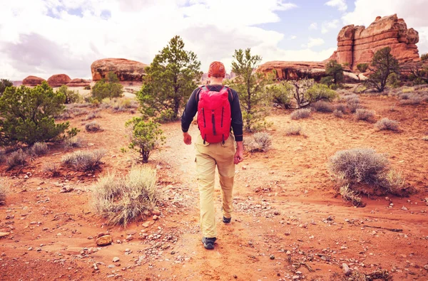 Wanderung Den Bergen Von Utah Wandern Ungewöhnlichen Naturlandschaften Fantastische Formen — Stockfoto