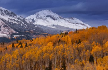 Colorado, ABD 'de renkli bir sonbahar. Sonbahar sezonu.