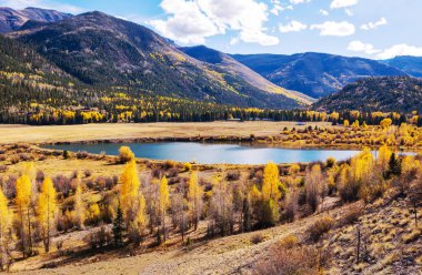 Colorado, ABD 'de renkli bir sonbahar. Sonbahar sezonu.