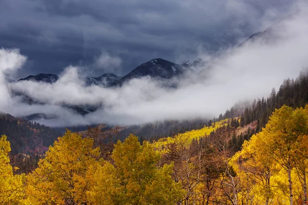 Barevný Žlutý Podzim Coloradu Spojených Státech Podzimní Sezóna — Stock fotografie