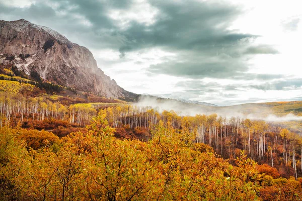 Kleurrijke Gele Herfst Colorado Verenigde Staten Herfstseizoen — Stockfoto