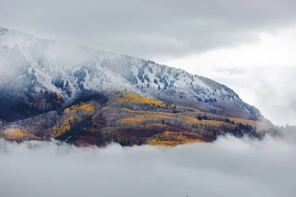 Colorato Autunno Giallo Colorado Stati Uniti Stagione Autunnale — Foto Stock