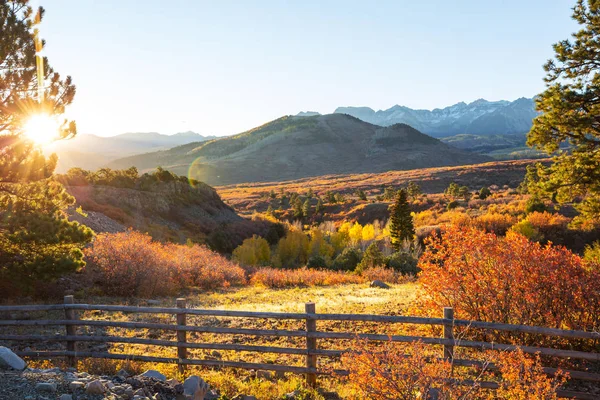 Färgglad Gul Höst Colorado Usa Höstsäsong — Stockfoto
