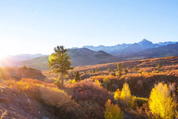 Outono Amarelo Colorido Colorado Estados Unidos Temporada Outono — Fotografia de Stock