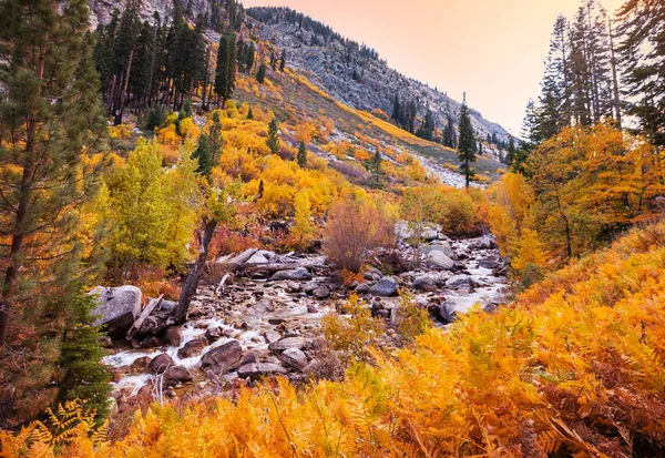 Kolorowy Sezon Jesienny Górach — Zdjęcie stockowe