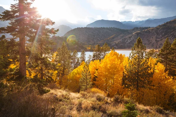 Blick Auf Die Sierra Nevada Herbst Laublandschaft Kalifornien Usa — Stockfoto