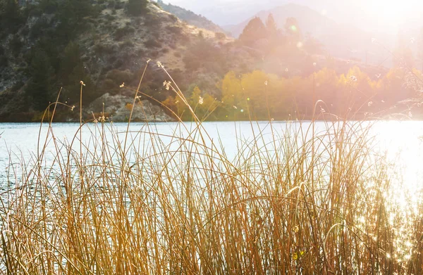 Bellissimo Lago Autunno Stagione — Foto Stock