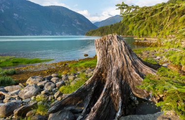 Bella Coola, Kanada 'da gün batımında güzel kıyı şeridi