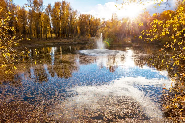 Fuente Hermoso Parque Otoño — Foto de Stock