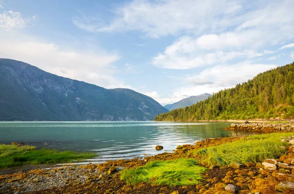 Gyönyörű Partvonal Naplementekor Bella Coola Kanada — Stock Fotó