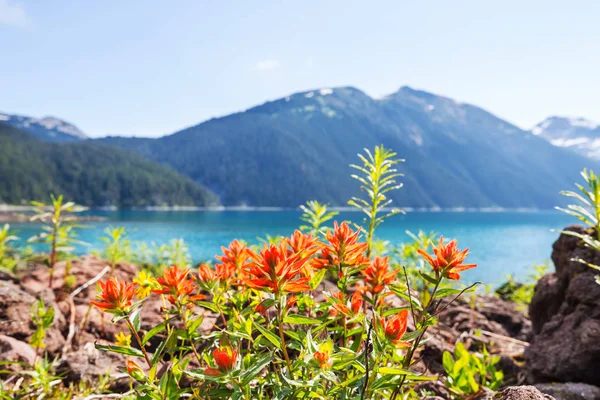 Hike to turquoise waters of picturesque Garibaldi Lake near Whistler, BC, Canada. Very popular hike destination in British Columbia.