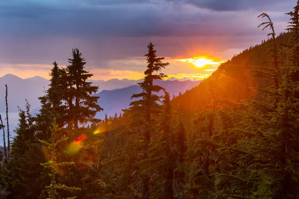 Pintoresca Vista Montaña Cordillera Costera Canadiense Temporada Verano — Foto de Stock