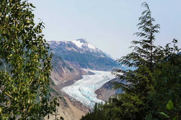 Pintoresca Vista Montaña Las Montañas Rocosas Canadienses Temporada Verano — Foto de Stock