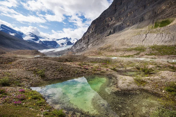 Pittoresca Vista Sulle Montagne Rocciose Canadesi Nella Stagione Estiva — Foto Stock