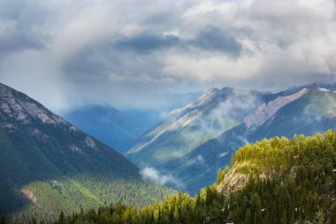 North Cascade Range, Washington / ABD 'de güzel bir dağ zirvesi.