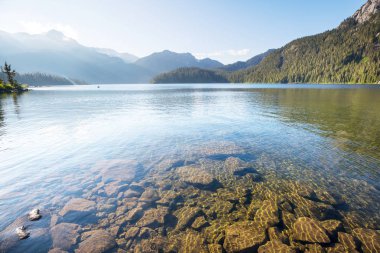 Yaz mevsiminde dağlarda huzur gölü. Güzel doğal manzaralar..
