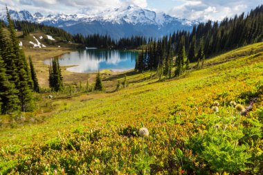 Yaz mevsiminde dağlarda huzur gölü. Güzel doğal manzaralar..