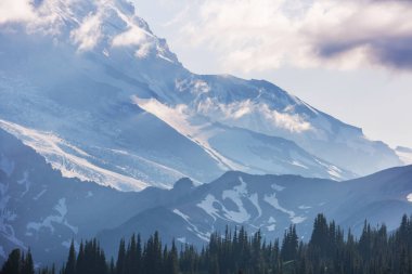 Mount Rainier Ulusal Parkı, Washington