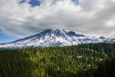 Mount Rainier Ulusal Parkı, Washington