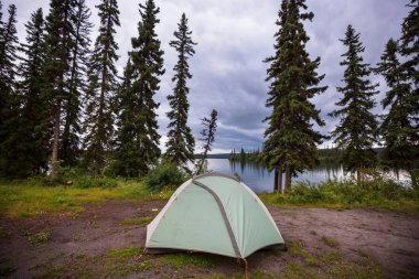 Dağlarda yürüyüş çadırı. Baker Dağı Rekreasyon Alanı, Washington, ABD