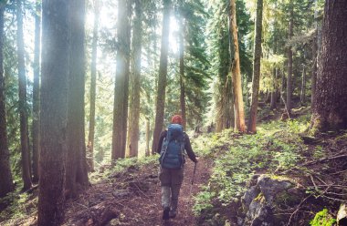 Hiking adam yolun ormanın içinde bay.