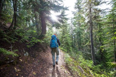 Hiking adam yolun ormanın içinde bay.
