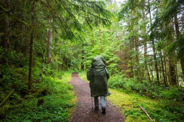 Hiking adam yolun ormanın içinde bay.