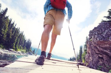 Yaz dağlarında gezintiye çıkmış bir gezgin.