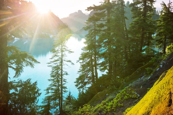 Serenity lake in the mountains in summer season. Beautiful natural landscapes.