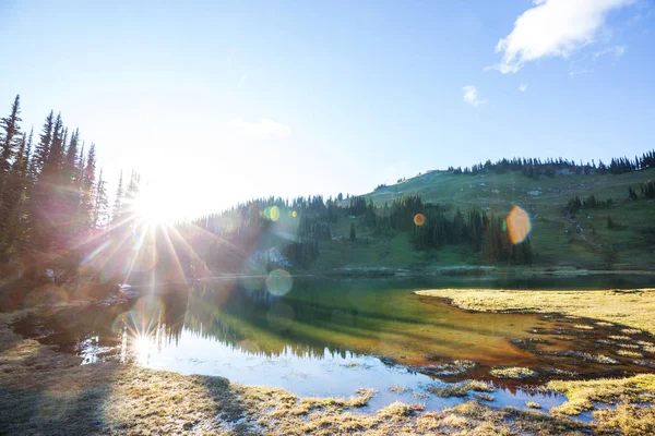 Lago Serenità Montagna Nella Stagione Estiva Bellissimi Paesaggi Naturali — Foto Stock