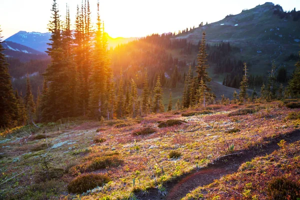 Naturskön Solnedgång Bergen Höstsäsong — Stockfoto